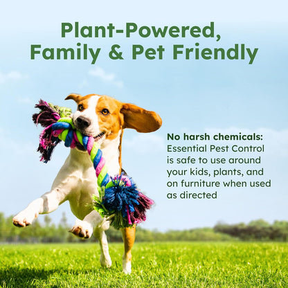 BugMD Ant Killer & Bug Spray Concentrate - Indoor Cockroach and Roach Killer, Spider Spray for Home, Fly and Insect Defense, Essential Oils, Plant-Powered, Eco-Friendly Pest Control - 3.7 Oz