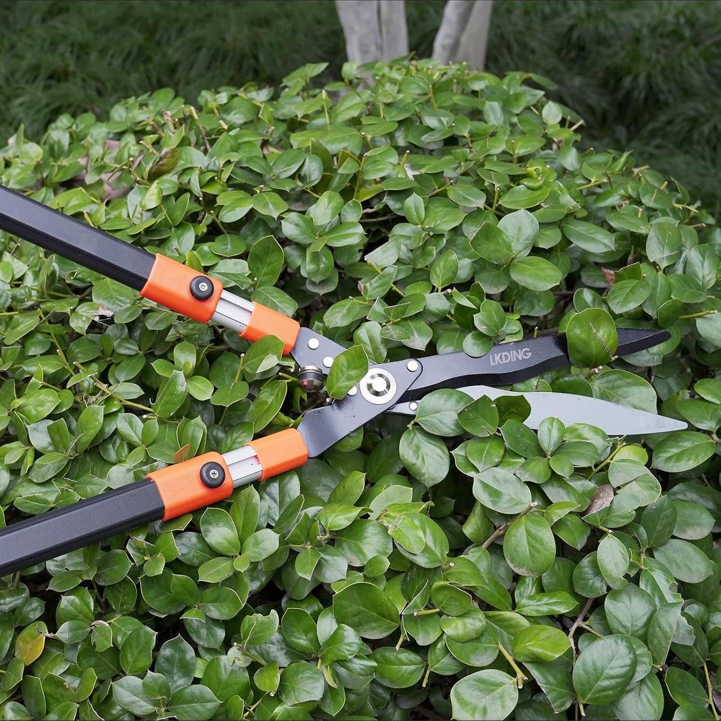 Hedge Shears Heavy Duty 32.5"-43" Extendable Handle Professional Garden Clippers Pruning Scissors Trimmer Yard Landscaping Tool