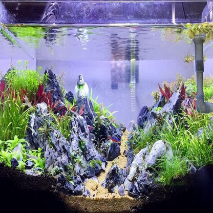 Mainam Pearl Weed Hemianthus Micranthemoides Potted US Nursery Live Aquarium Plants Decorations Freshwater Fish Tank Aquatic Plant3 Days Live Guaranteed