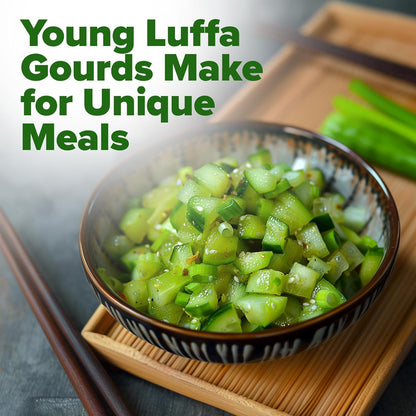 HOME GROWN Luffa Seeds 2 Pack(Luffa aegyptiaca)80 Heirloom 𝗡𝗢𝗡-𝗚𝗠𝗢,𝗨𝗦𝗔-𝗦𝗢𝗨𝗥𝗖𝗘𝗗 Loofah Gourd Seeds for Planting High Germination Rate - Make Sponges or Harvest Young Loofahs for Eating