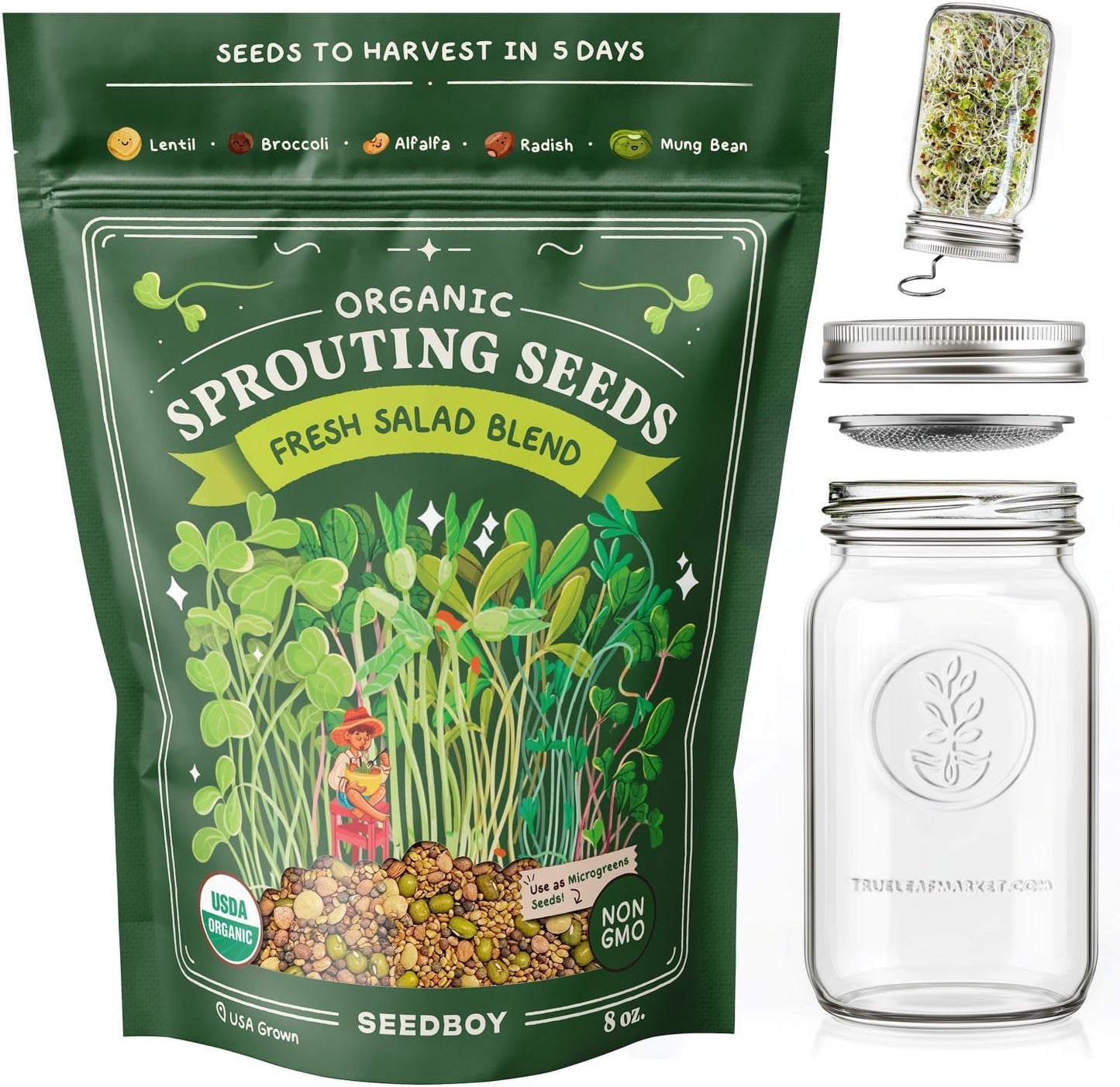 Seedboy Organic Non-GMO Fresh Salad Blend Sprouting Seeds & Kit – Includes Jar, Lid & Stand – USA Grown Microgreens Mix – 8 oz Bag Makes 24 Servings (Sprouting Jar/Salad Blend)