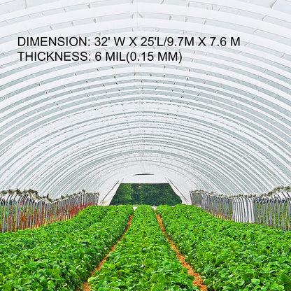 VEVOR Greenhouse Plastic Sheeting 32 x 25 ft, 6 Mil Thickness UV Resistant Clear Polyethylene Film, Hoop Green House Cover for Farms, Agriculture, Garden