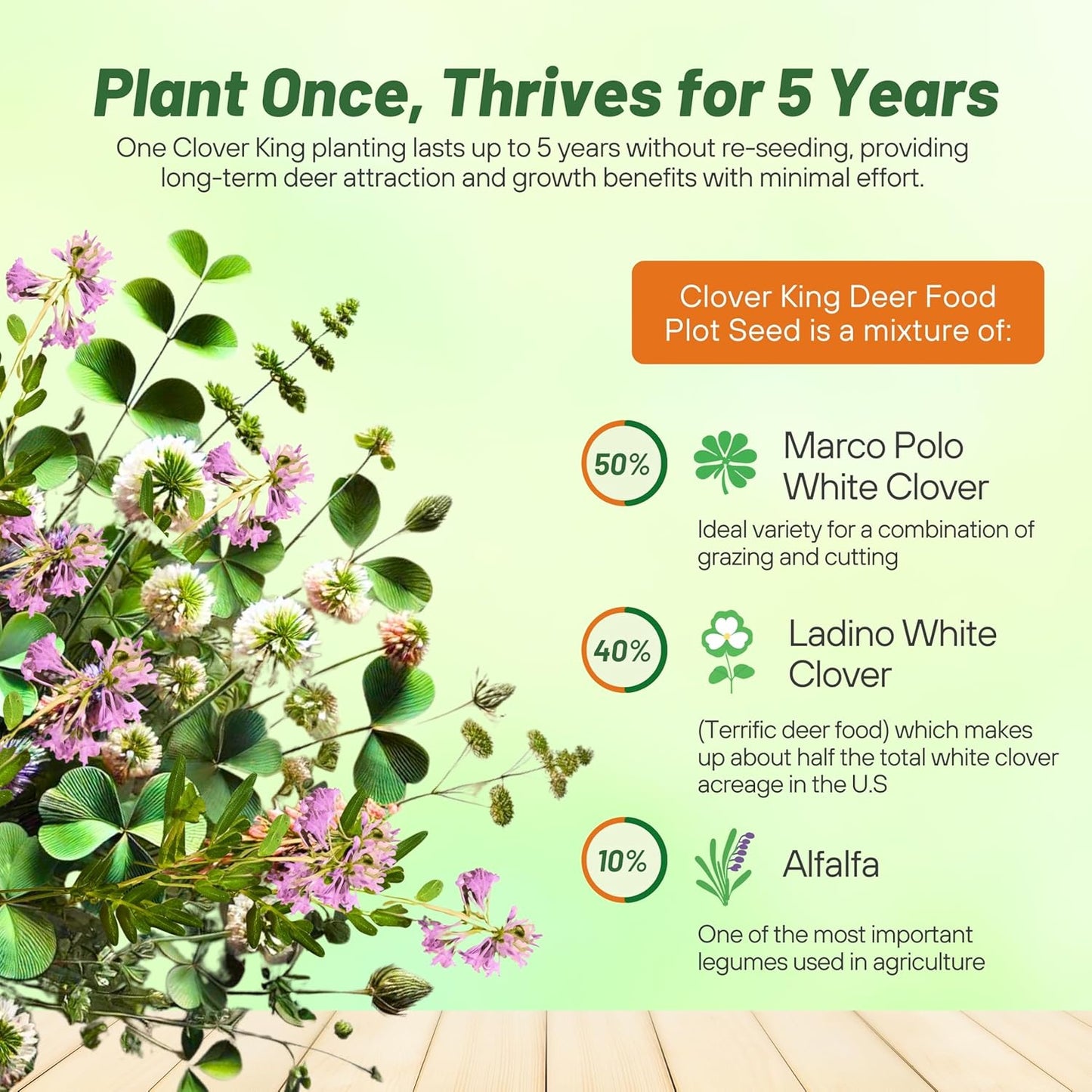 Outsidepride Perennial Clover King Seed Mix - 10 lbs Nitrocoated, Inoculated, Heat & Cold Tolerant, Alfalfa-Enhanced Food Plot Seeds for Deer & Wildlife, Ideal for Spring, Summer, & Winter Plots