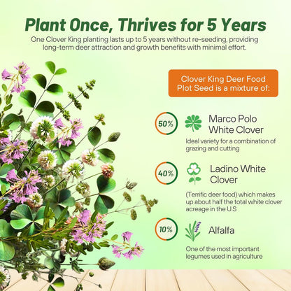 Outsidepride Perennial Clover King Seed Mix - 10 lbs Nitrocoated, Inoculated, Heat & Cold Tolerant, Alfalfa-Enhanced Food Plot Seeds for Deer & Wildlife, Ideal for Spring, Summer, & Winter Plots