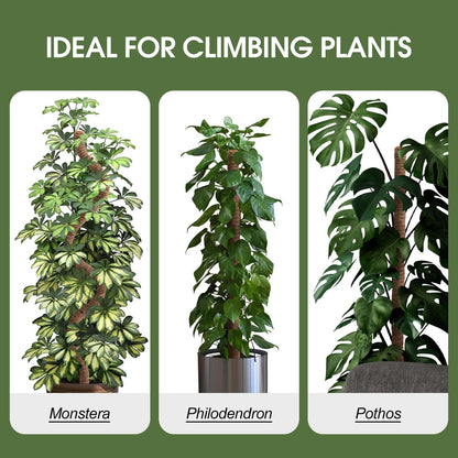 4 Pack Moss Pole 63 Inch Monstera Plant Support Moss Poles Bendable for Climbing Plants Longer Coco Coir Sticks Support Stakes Tall for Indoor Creeper DIY Shape Plants Grow Upwards