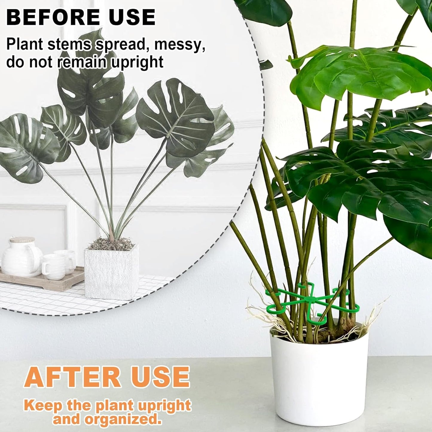 4PCS Plant Stem Support, 2 Sizes Climbing Houseplant Stem Holders, Plastic Reusable Flower Trellis Stem Hook Plant Care Growth Accessories for Flower Plants Indoor Outdoor - Green, 5.28"/4.55"