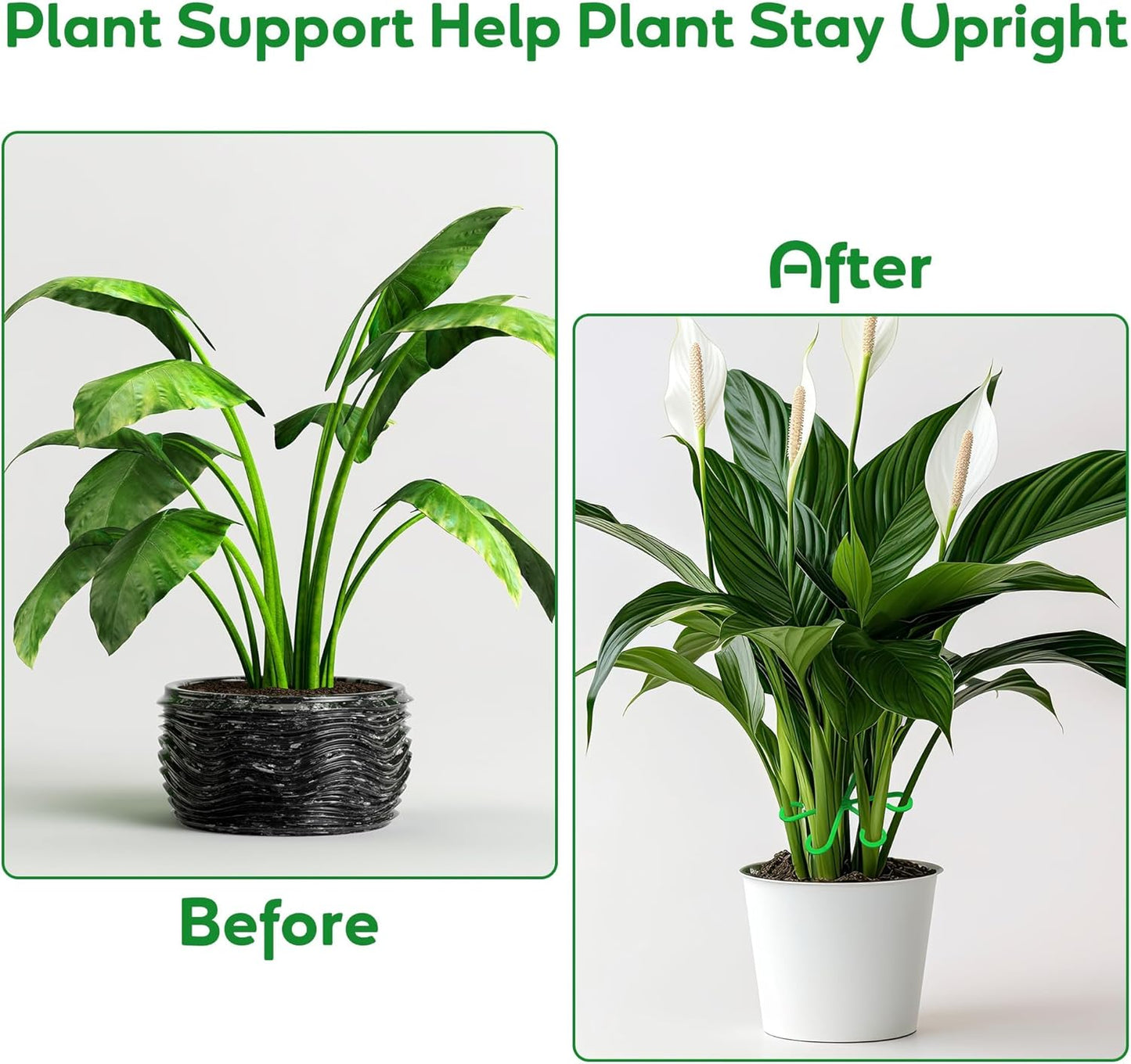 Plant Stem Support Set, 8Pcs 4 Sizes Plant Trellis Rings for Climbing Plants Indoor, Support Holder Ring for Different Growth Stages, Climbing Houseplant Trellis for Potted (Green)