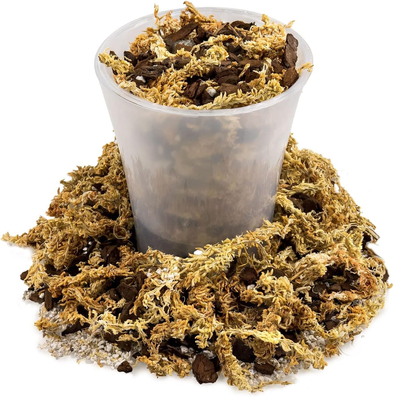 Premium Sphagnum Moss, Perlite and New Zealand Pine Bark Blend for Carnivorous Plants - 20 Quart - Perfect for Venus Fly Traps, Pitcher Plants, Sarracenia, Butterworts, and Sundews by GARDENERA