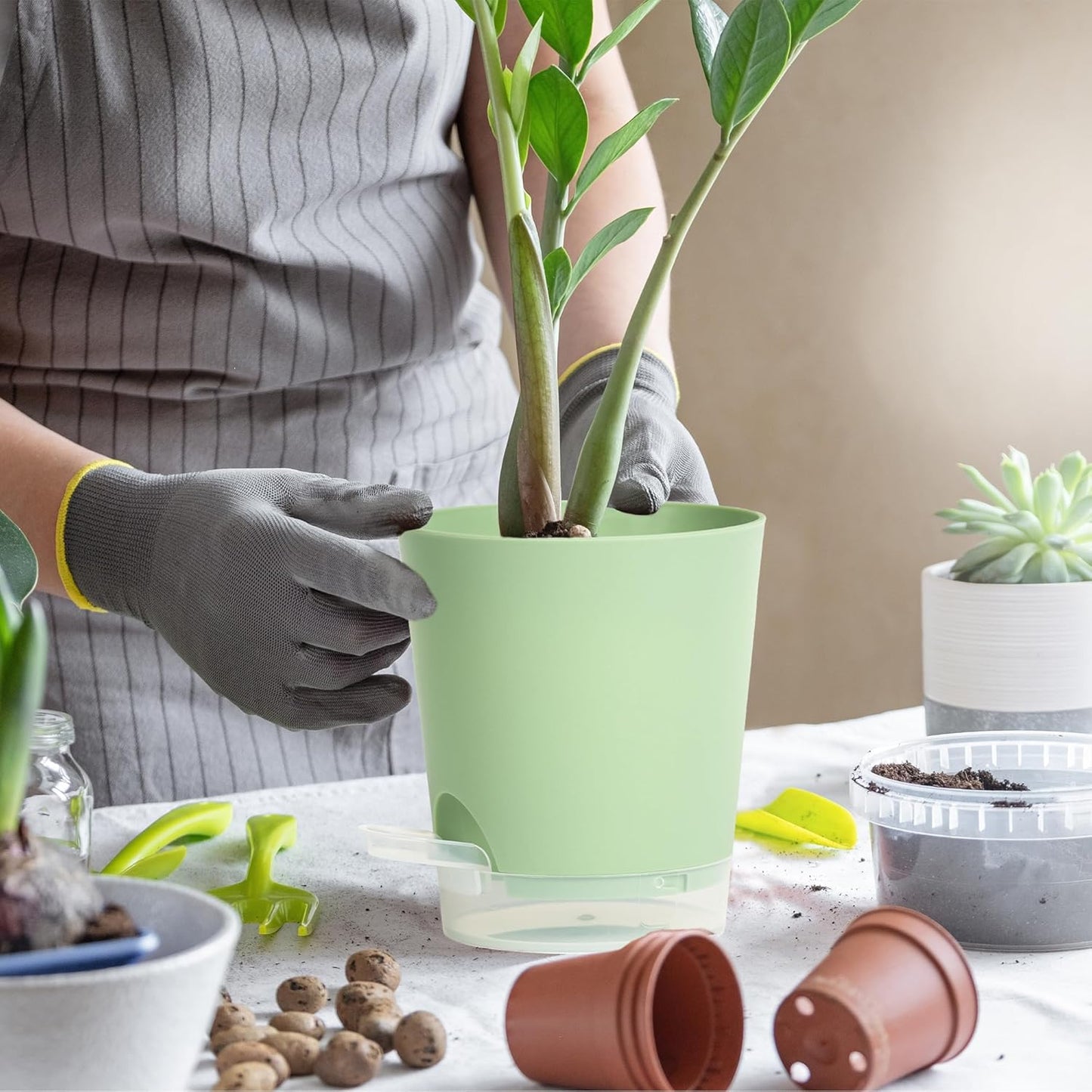4 Inch 5 Pack Small Self Watering Pots for Indoor Plants, Nursery Pot with Drainage Holes and Saucers, Plastic Small Flower Planter for Succulent, Aloe, Cacti and More(Green)