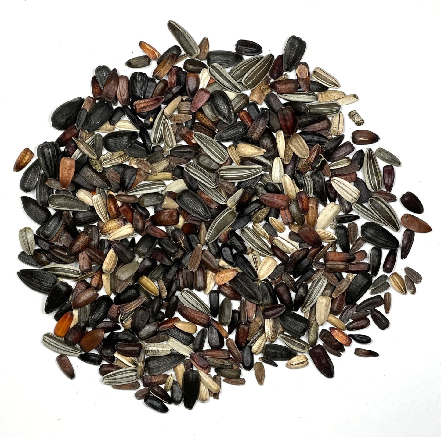 Seed Needs Sunflower Seeds to Plant The Original Crazy Blend | 500+ Heirloom Seeds 15+ Varieties Open Pollinated & Untreated | Resealable Bulk Package Multicolored Blooms Flower Seed
