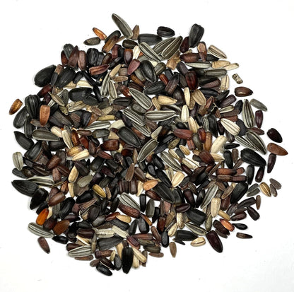 Seed Needs Sunflower Seeds to Plant The Original Crazy Blend | 500+ Heirloom Seeds 15+ Varieties Open Pollinated & Untreated | Resealable Bulk Package Multicolored Blooms Flower Seed