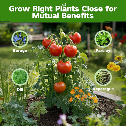 LUSH&DEW Companion Plants Heirloom Seed Bank, Gardening Gifts, 32 Varieties 30,000+ Non-GMO Fall Winter Vegetable Seeds for Planting in Garden Beds Greenhouse, Survival Seed Kit Emergency Food Supply
