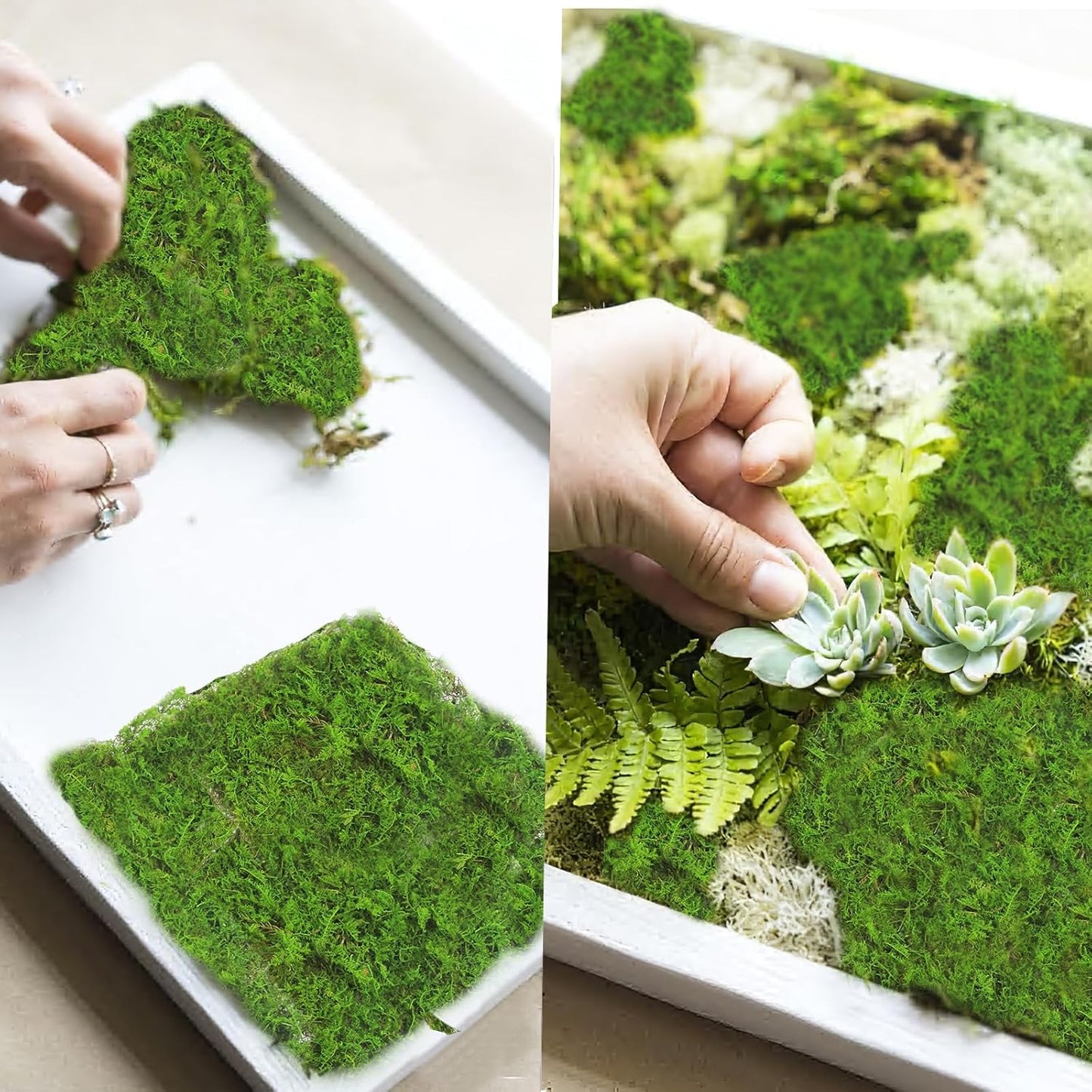 2 Pcs Preserved Sheet Moss for Potted Plants 2 sq.ft. Dried Natural Preserved Moss Mat Green Moss Sheets for Planters Crafts Woodland Decor Garden Party Decorations Wall Art DIY Project Green