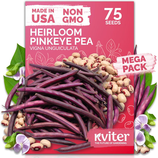 KVITER 75 Top Pick Pinkeye Cow Pea Seeds for Planting (Vigna Unguiculata) – Field Pea, Bush Purple Hull Peas, Heirloom & Organic | Peas & Beans – Vegetable Seeds for Outdoor Garden, Beds, Containers