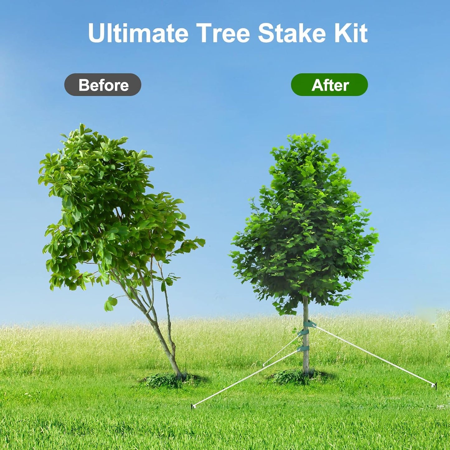 Tree Stake Kits, Heavy Duty Tree Stakes and Supports Kits for Young Trees Against Bad Weather, 3 Pcs Tree Stake, 3 Pcs Tree Straps, 32.8 FT Rope
