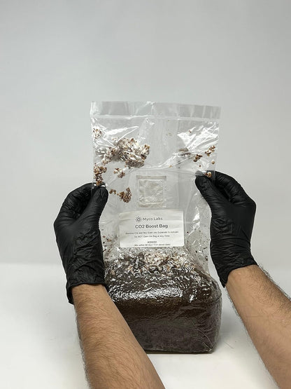 Co2 Boost Self-Activated Mushroom Grow Bag for Plants, Grow Rooms & Tents 2.0