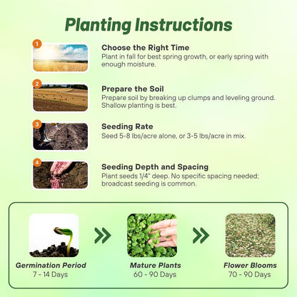 Outsidepride Fixation Balansa Clover Seeds for Lawn - 10 lbs. Coated & Inoculated, Cold Season, Drought Tolerant Cover Crop Seeds, Ideal for Erosion Control, Pasture, & Pollinator-Friendly Garden