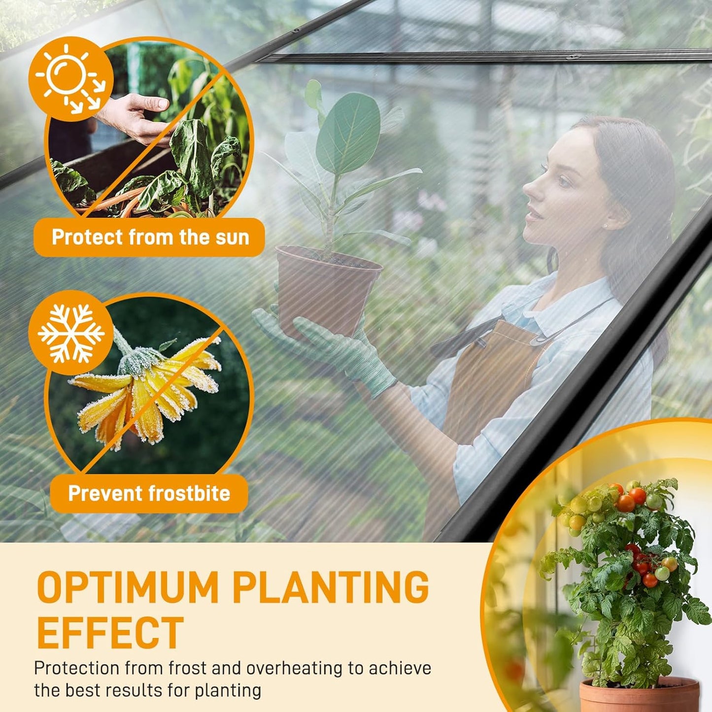 VINGLI 6x10 FT Greenhouse for Outdoors, Twin-Wall Translucent Heavy Duty Polycarbonate Greenhouse Kit with 5 Roof Vents, Weather Resistance for Plants Protection, for Home Gardening (Black, 6x10 FT)