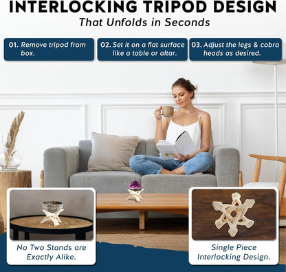 Alternative Imagination Wooden Tripod Stand - Display Stand For Home Decor, Abalone Shell, Jewelry Dish, Trinket Dish, Key Bowl, Crystal Ball and More - Natural, 4 Inches