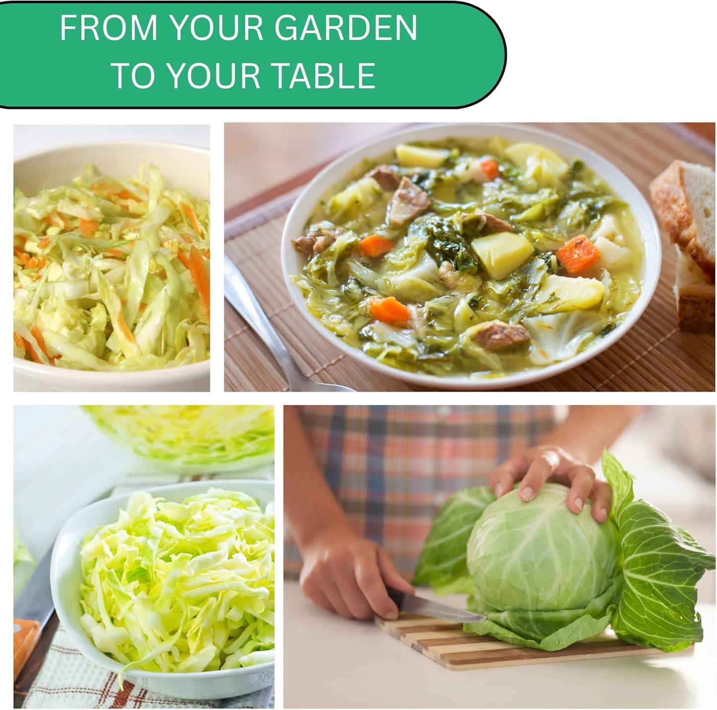 Woods Creek Seeds: Copenhagen Market Cabbage Seeds for Planting - Over 280 Heirloom Non-GMO Green Cabbage Seeds - Beginner-Friendly Vegetable Seed for Home, Indoor or Outdoor Gardeners
