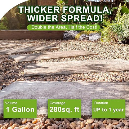 Teexpert 2 Gallon Rock Glue for Landscaping – Strong Pea Gravel Binder & Stone Adhesive for Walkways, Yards, Patios, and Decorative Driveway Edges