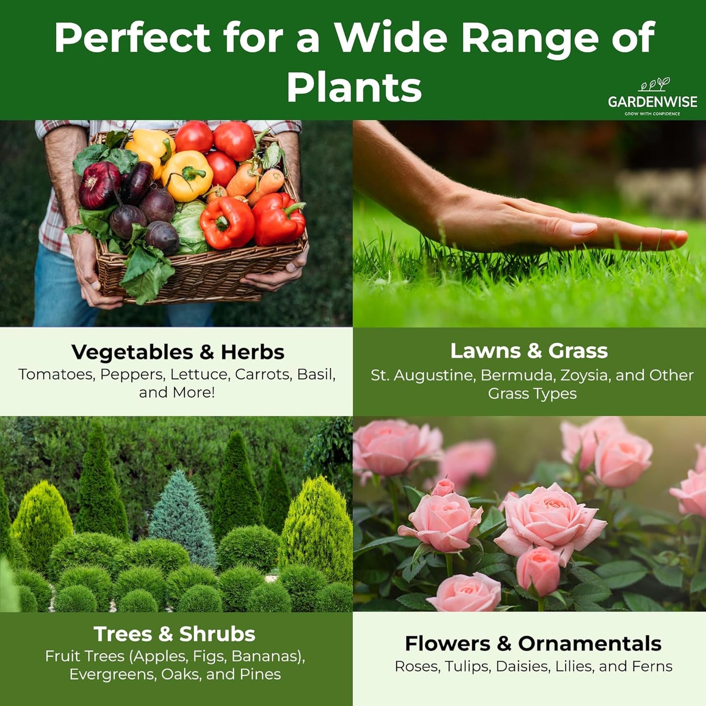 13-13-13 Slow Release Granular Fertilizer – All Purpose Plant Food 13 13 13 for Outdoor Grass, Vegetables, Roses, Flowers, Shrubs, Trees. Lawns, Gardens, Potted Plants (2 quarts)