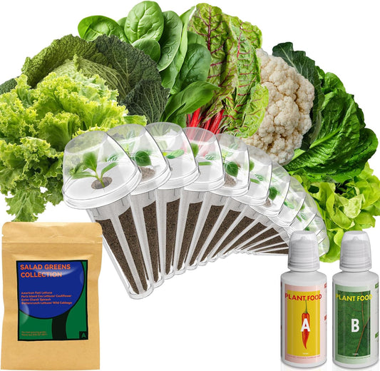 inbloom Salad Green Seed Pod Kit for AeroGarden, Ahopegarden, GARDENCUBE, MUFGA, 12 Pods (350+