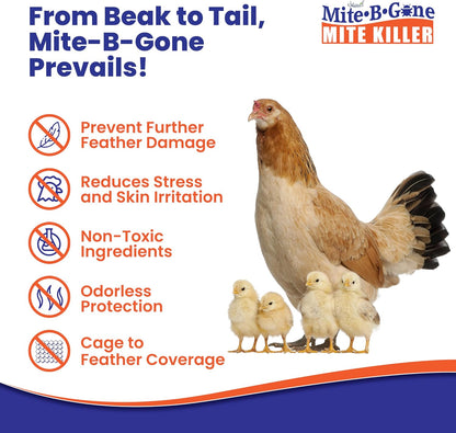 Mite Killer Spray by Mite-B-Gone — Kills Human Mites, Dust, Spider, Rat, Carpet & Bird Mites in Homes, Furniture, Bedding, Auto & On Animals | Non-Toxic | Kid & Pet Safe | 32oz Spray