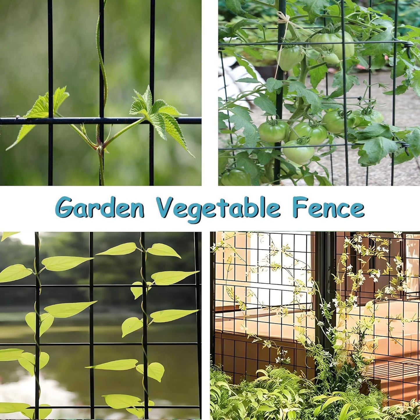 Black Metal Garden Fence, 48inch(H) x 100ft(L), 2 inch x 4 inch,12.5GA 2/3/4/5/6 Ft Tall Chicken Wire PVC Coated Welded Wire Mesh Roll for Dogs Border Yard Vegetable Plant Protection Poultry Netting