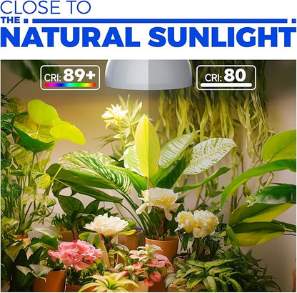 Barrina Hanging Grow Lights for Indoor Plants, 25W Full Spectrum, with Timer and 16.4FT Power Cord, Pendant Plant Lights for Indoor Growing, Large Tall Plant, Garden, Flowers, Greenhouse