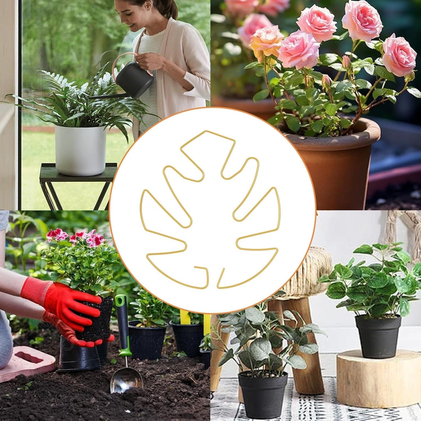 5PCS Iron Monstera Plant Support, Plant Stem Support, Turtle Shell Bamboo Clamp Set, Stable Plant Support Stakes for Indoor Plant, Ideal Present for Plant Lovers