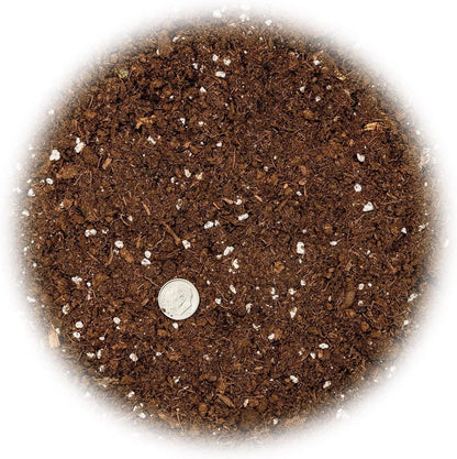 GARDENERA Premium Dracaena Potting Soil Mix - (20 Quart Bag)