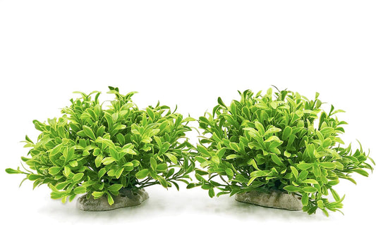 BEGONDIS Aquarium Decorations Fish Tank Artificial Green Water Plants Made of Soft Plastic, Safe