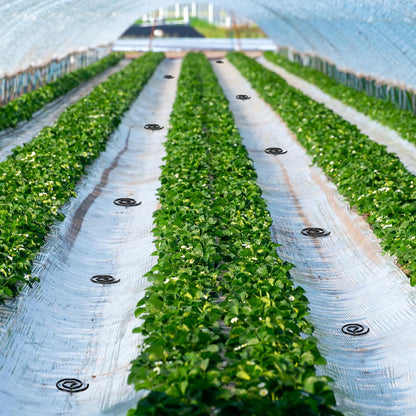 Ferraycle 100 Pcs Landscape Fabric Pins Circle Top Galvanized Landscape Spikes Garden Stakes Spikes Pins for Securing Weed Barrier Sod Fabric Netting Ground Sheets and Fleece(7.8 Inches)