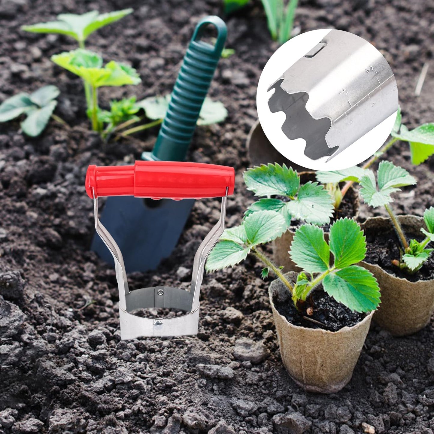 10 Pack Bulb Planter Tool - Bulb Transplanter with Marked Depth, Tulip Bulb Planter Tool - Versatile Tulip Plant Tools for Efficient Planting for Bulbs and Daffodils