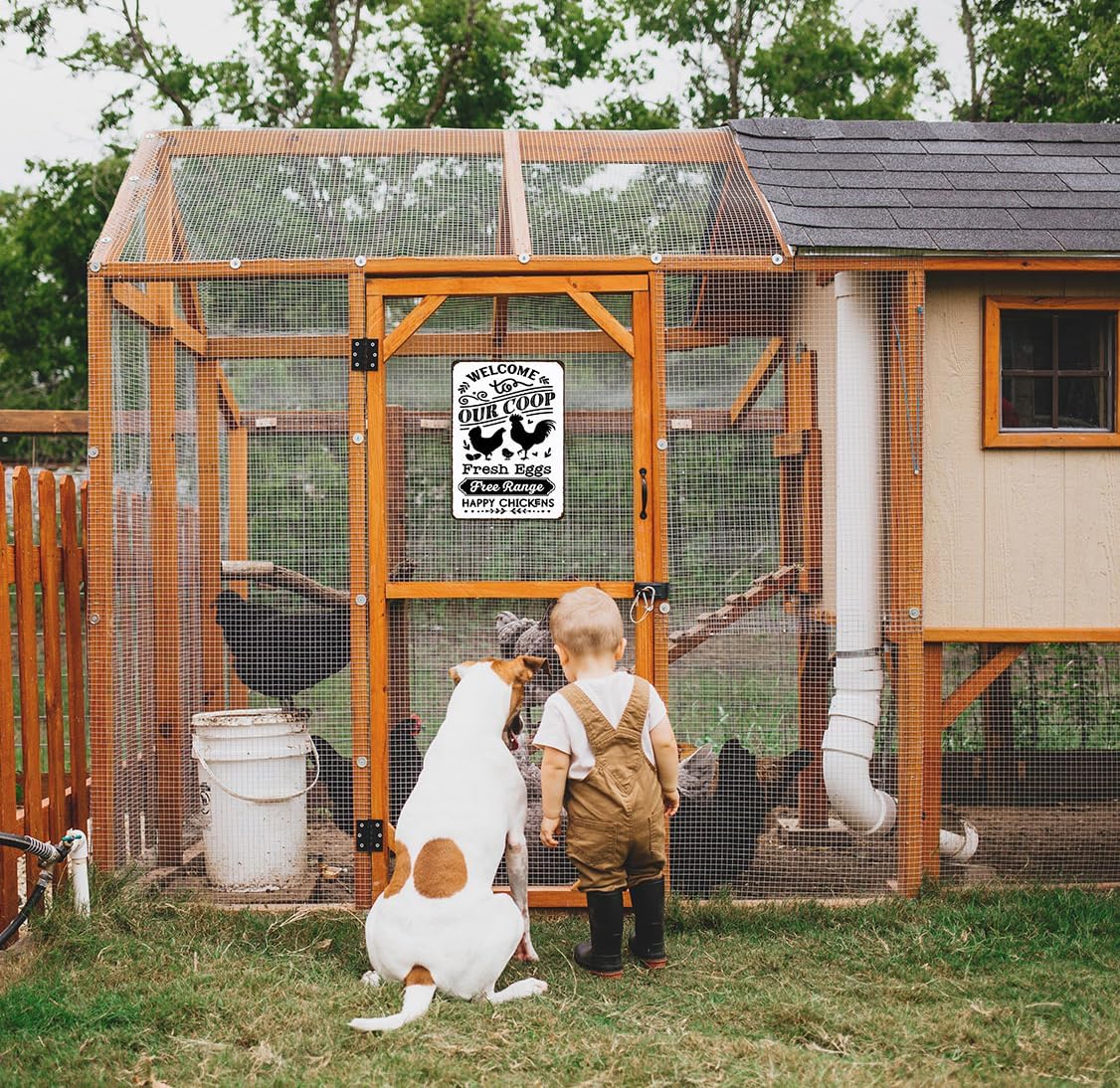 Funny Chicken Gifts Welcome To Our Coop Tin Sign for Home Farm Chicken Coop Farmhouse Kicthen Garden Decor 8 X 12 Inch (3521)