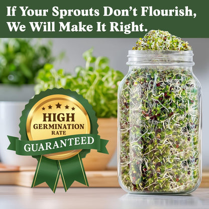 Seedboy Organic Non-GMO Broccoli Seeds for Sprouting - USA Grown Microgreens Sprouting Seeds - 8 oz Bag Makes 8 Quarts / 24 Servings (Di Cicco Broccoli)