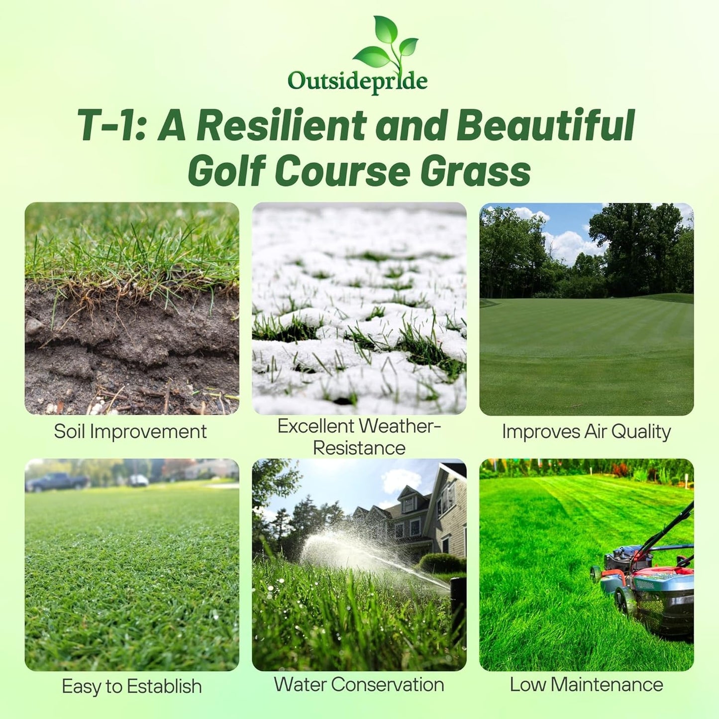 Outsidepride T-1 Creeping Bentgrass Seed - 2 lbs Fine-Bladed, Premium Quality Turf, Grass Seed for Smooth Surface, & High-Traffic Areas, Ideal Grass for Golf Courses Putting Greens, & Fairways