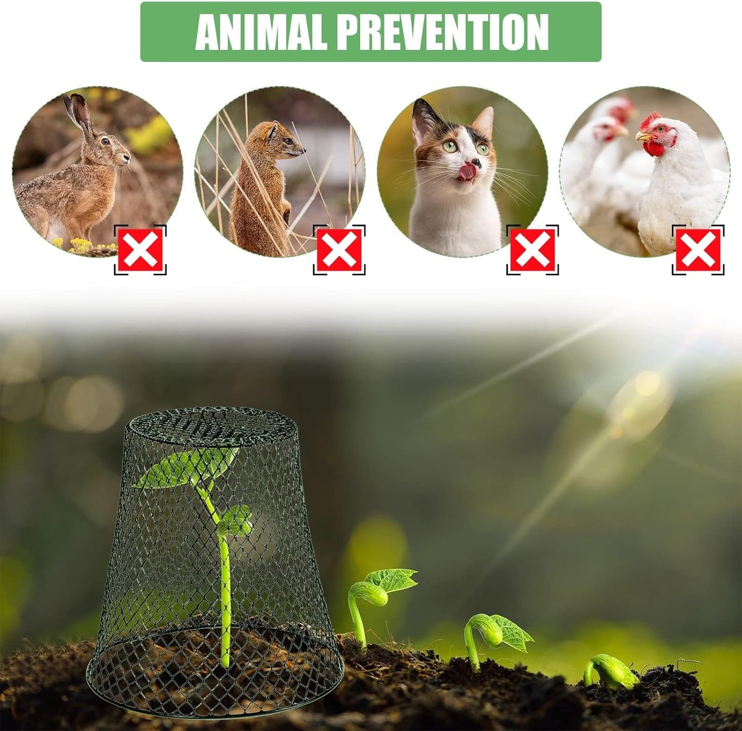 20 Pcs 8inch Chicken Wire Plant Covers,Wire Garden Cloches Chicken Wire Cloche Plant Protector Metal Heavy Duty Garden Plant Cloche for Keeping Bunnies Chicken Squirrels Birds Other Out
