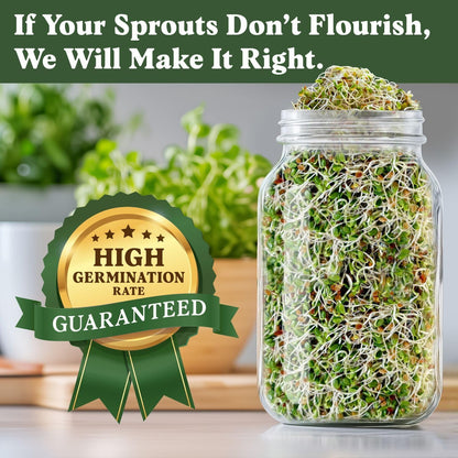 Seedboy Organic Non-GMO Clover Seeds for Sprouting - USA Grown Microgreens Sprouting Seeds - 8 oz Bag Makes 8 Quarts / 24 Servings (Red Clover)