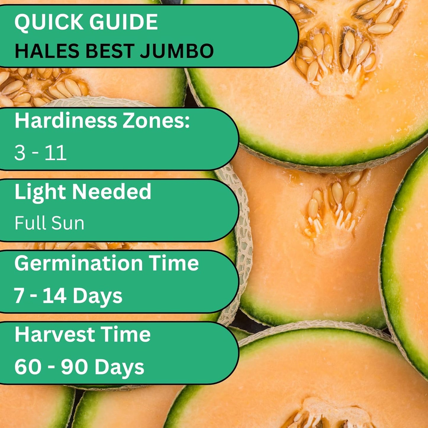Woods Creek Seeds: Hales Best Jumbo Cantaloupe Melon Seeds for Planting - Over 130 Heirloom Non-GMO Cantaloupe Seed for Planting - Beginner Friendly Fruit Seeds for Home Gardening