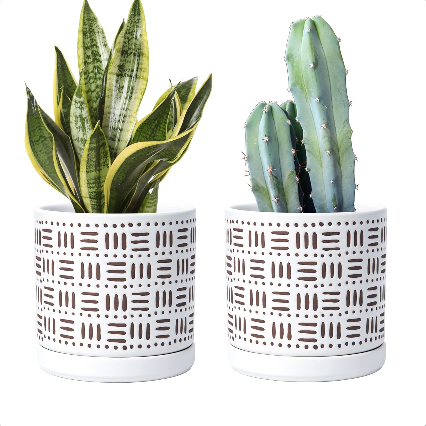 D'vine Dev Set of 2 Ceramic Planter Pots with Drainage Hole and Saucer, 6 Inch Plant Pots for Plants Indoor Houseplants, White, 99-Z-F-1-Y