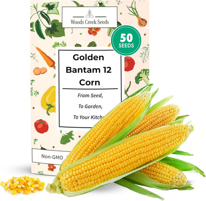 Woods Creek Seeds: Golden Bantam 12 Sweet Corn Seeds for Planting - Heirloom Sweet Corn Seed with Tender Yellow Kernels - Non-GMO, Open-Pollinated, Seed Pack for Field and Home Gardening