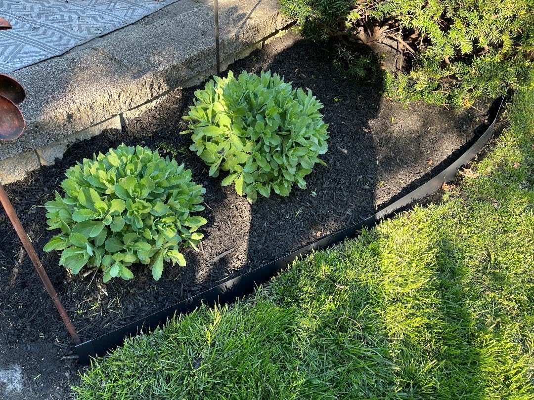 8 Pcs - 48'' L x 6'' H Steel Landscape Edging Edging for Landscaping Garden Edging Metal Landscape Edging Tall Border Lawn Edging No-dig Hammer in Edging with Gloves(32FT Total Length)