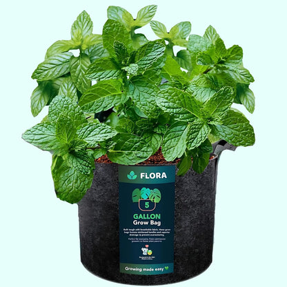 Flora 5-Gallon Thickened 300G Nonwoven Fabric Grow Bags for Plants, Heavy-Duty Pots with Handles 1-Pack