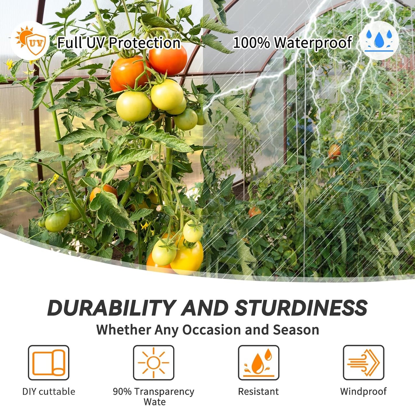 12x50 Ft Clear Greenhouse Film Plastic Sheeting, Greenhouse Polyethylene Plastic Film 6 mil Thickness Replacement Cover, UV Resistant, Plant Covers Freeze Protection for Windproof Frost& Dust Proof