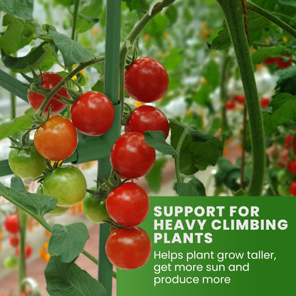 Square Tomato Cage - Large Trellis Stakes and Plant Support Structures for Vegetables and Climbing