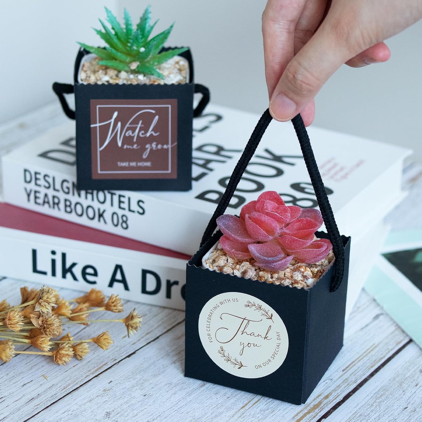 Temlum 2.5 Inch Succulent Wrap Bags (Fits 2.5″ Pots) with Thank You & Watch Me Grow Stickers, Small Succulent Gift Box for Wedding, Baby Shower, Succulent Party Favors for Guests (Black 40pcs)