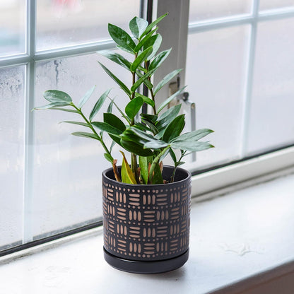 D'vine Dev Set of 2 Ceramic Planter Pots with Drainage Hole and Saucer, 6 Inch Plant Pots for Plants Indoor Houseplants, Black, 99-Z-F-2-Y