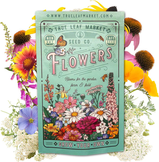 All Annual Wildflower Seeds Mix – 4 Oz, 4,000+ Seeds – 21 Varieties Including California Poppy
